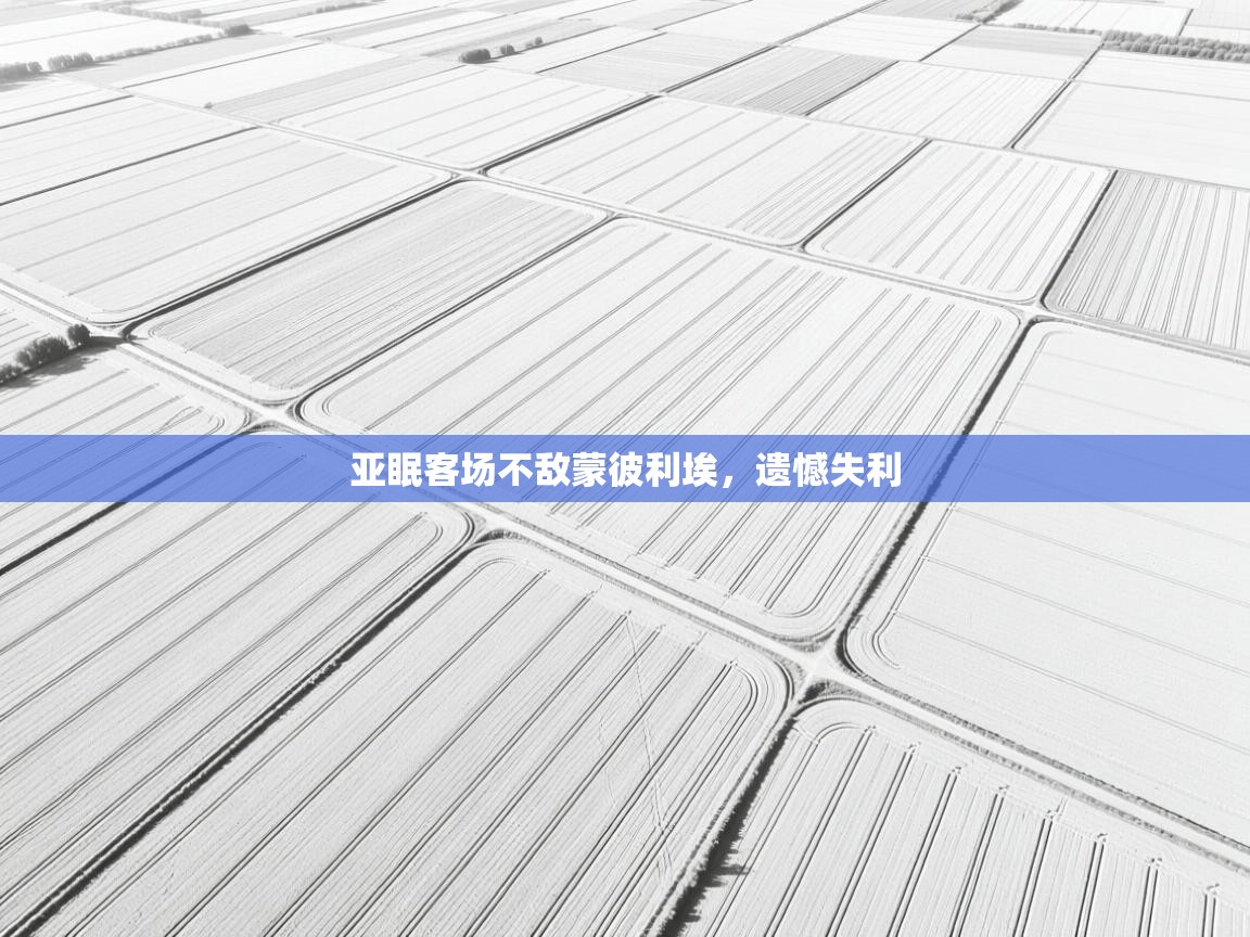 亚眠客场不敌蒙彼利埃，遗憾失利  第2张