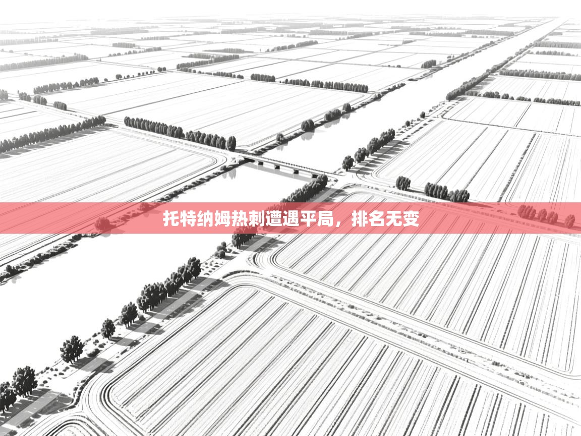 托特纳姆热刺遭遇平局,排名无变 第2张