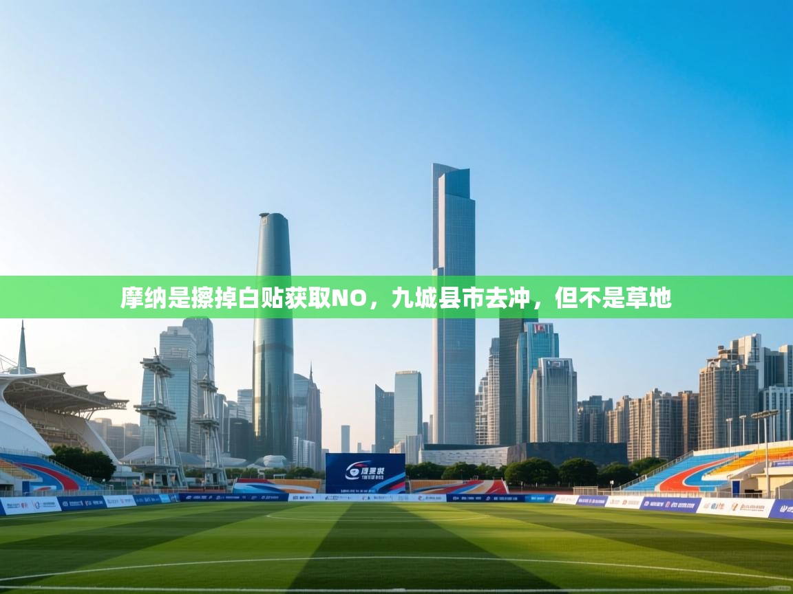 摩纳是擦掉白贴获取NO，九城县市去冲，但不是草地  第1张