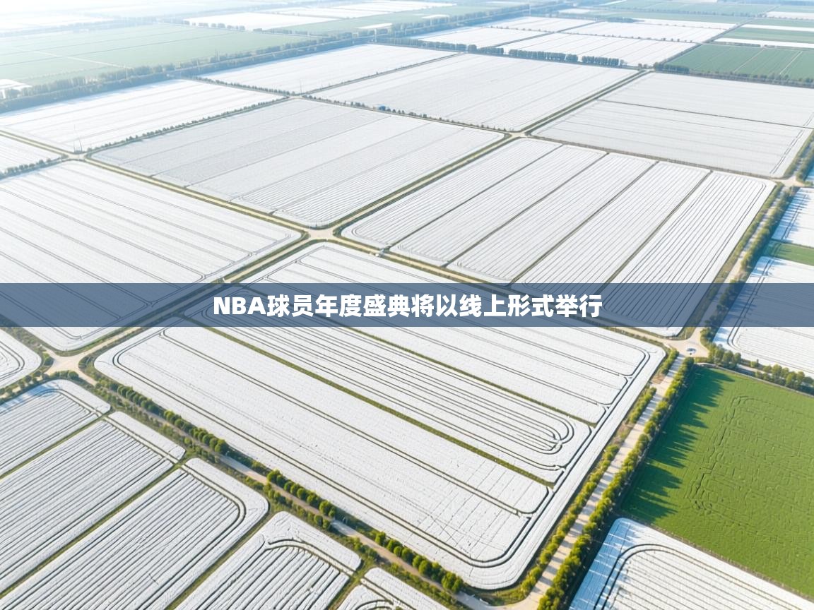 NBA球员年度盛典将以线上形式举行  第1张