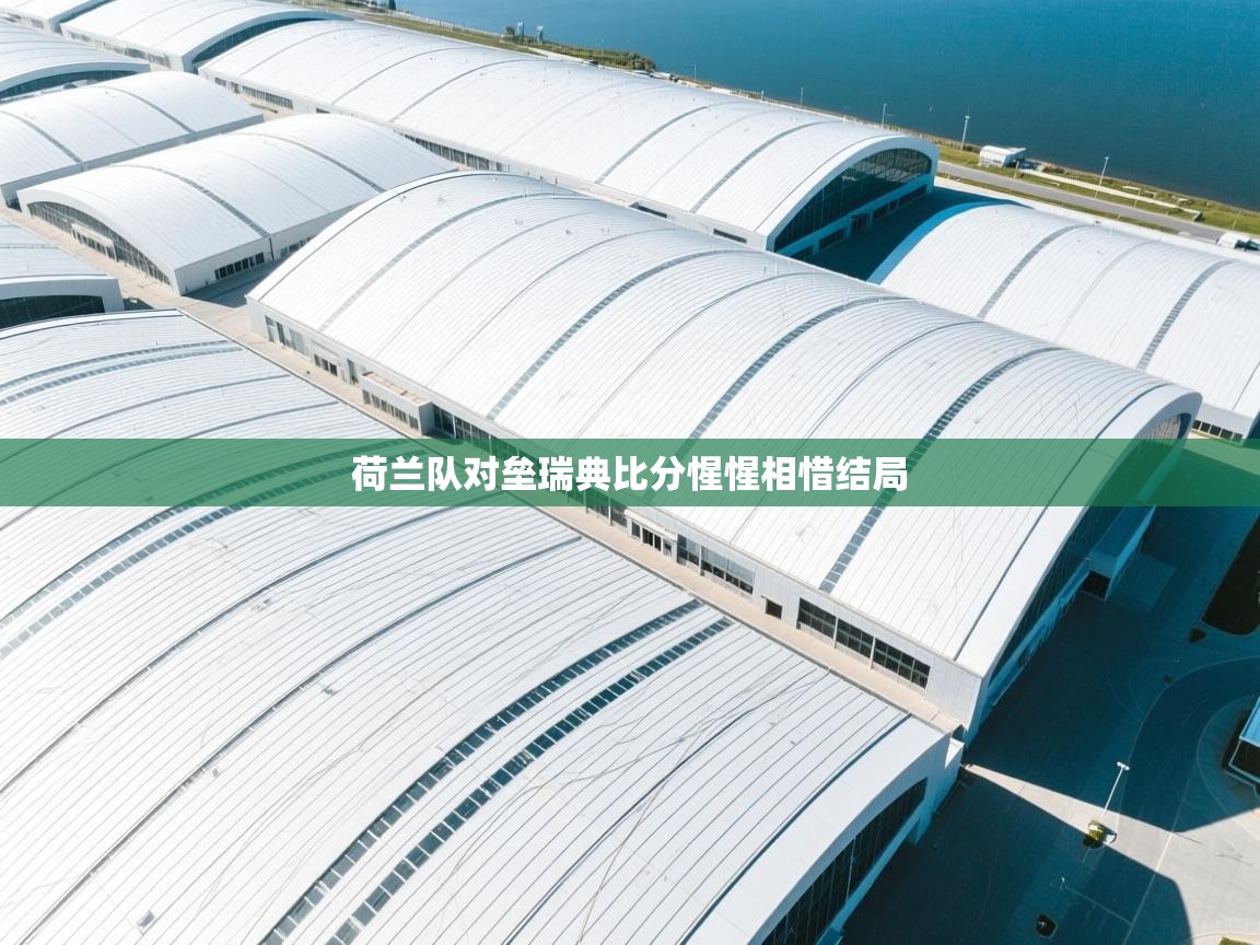 荷兰队对垒瑞典比分惺惺相惜结局  第2张