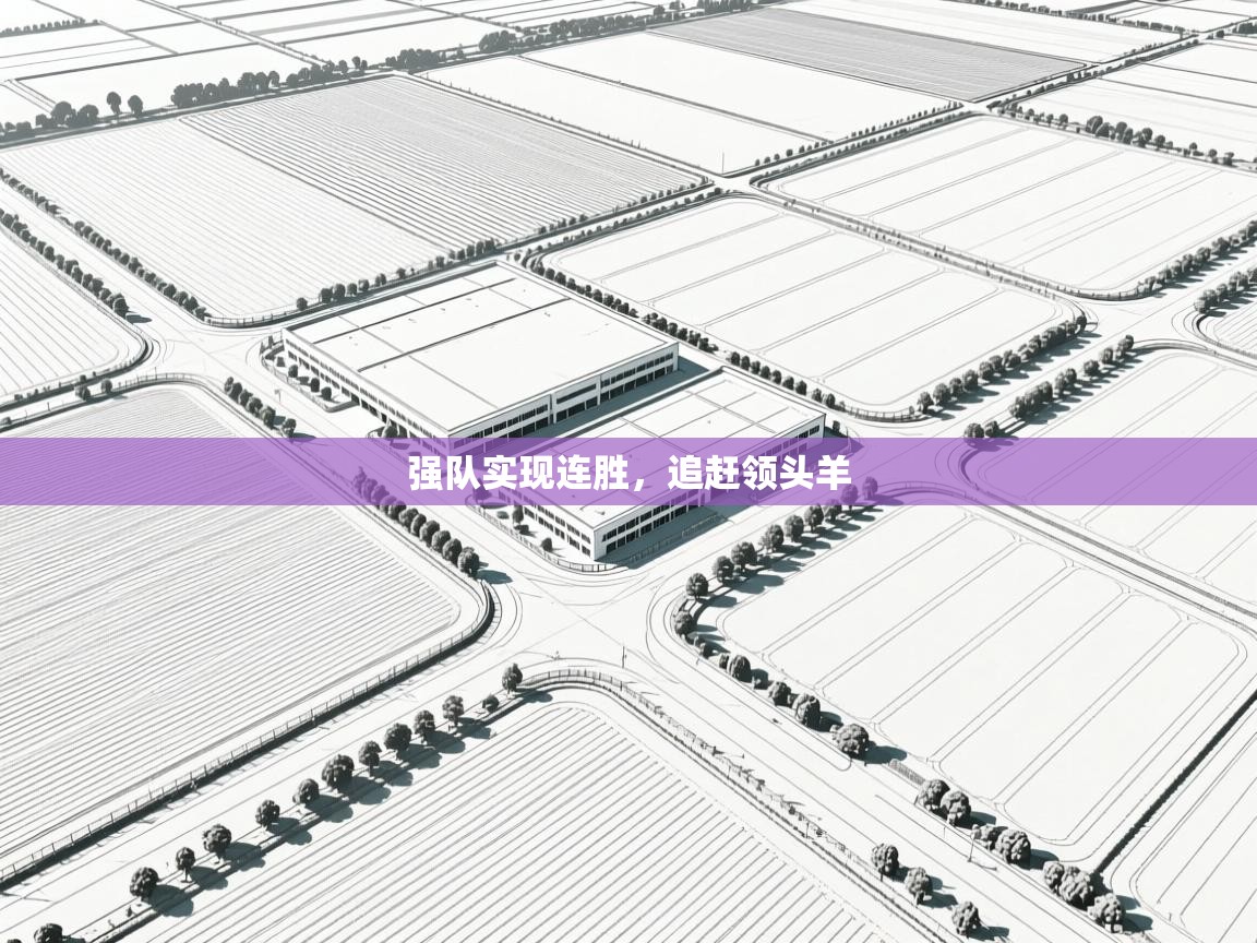 强队实现连胜，追赶领头羊  第1张
