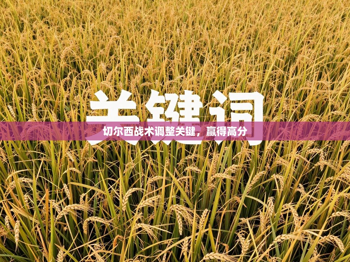 切尔西战术调整关键，赢得高分  第1张