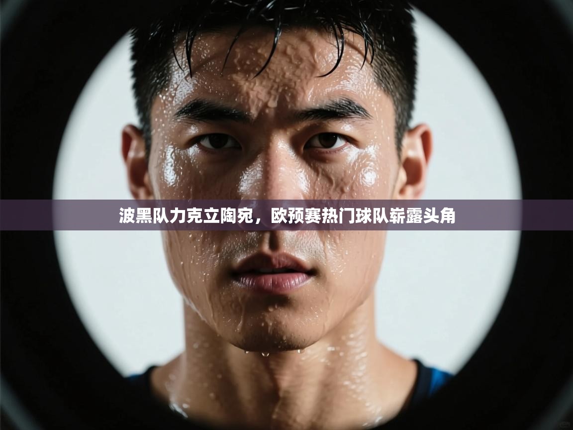 波黑队力克立陶宛，欧预赛热门球队崭露头角  第2张